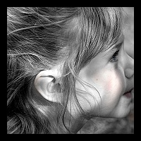 8x12 Stellas Bday 261a Tint